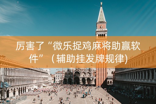 厉害了“微乐捉鸡麻将助赢软件”（辅助挂发牌规律)