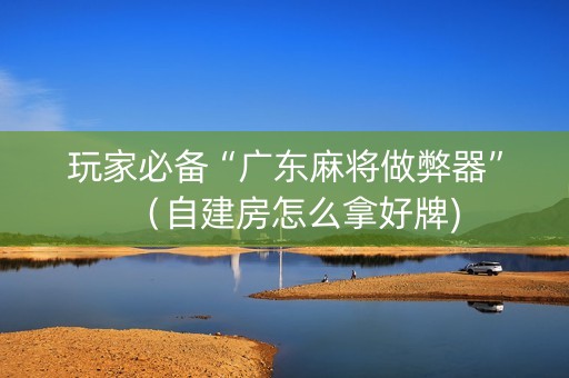 玩家必备“广东麻将做弊器”（自建房怎么拿好牌)