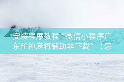 安装程序教程“微信小程序广东雀神麻将辅助器下载”（怎么能调好牌)