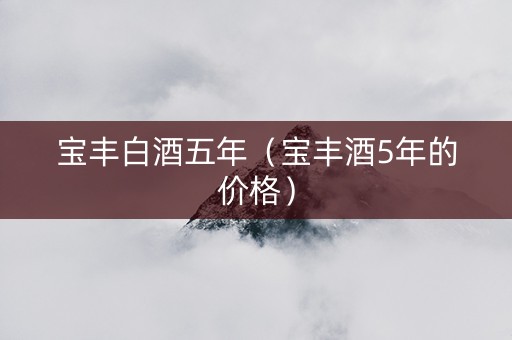 宝丰白酒五年（宝丰酒5年的价格）