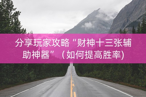 分享玩家攻略“财神十三张辅助神器”（如何提高胜率)