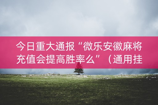 今日重大通报“微乐安徽麻将充值会提高胜率么”（通用挂软件多少钱)