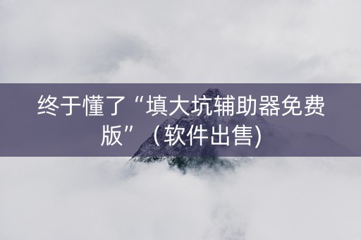 终于懂了“填大坑辅助器免费版”（软件出售)