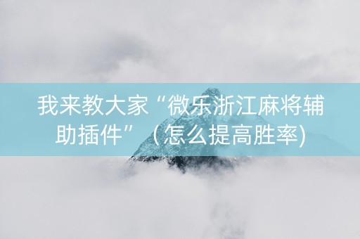 我来教大家“微乐浙江麻将辅助插件”（怎么提高胜率)