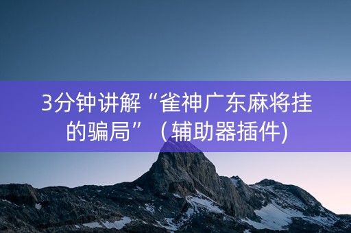 3分钟讲解“雀神广东麻将挂的骗局”（辅助器插件)
