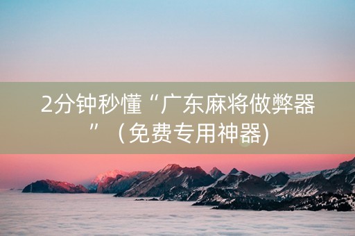2分钟秒懂“广东麻将做弊器”（免费专用神器)