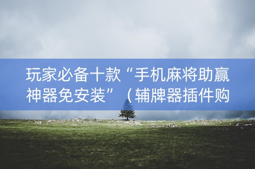 玩家必备十款“手机麻将助赢神器免安装”（辅牌器插件购买)