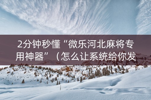 2分钟秒懂“微乐河北麻将专用神器”（怎么让系统给你发好牌)