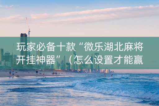 玩家必备十款“微乐湖北麻将开挂神器”（怎么设置才能赢)