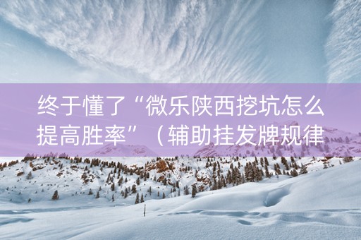 终于懂了“微乐陕西挖坑怎么提高胜率”（辅助挂发牌规律)