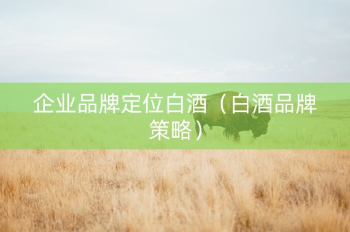 企业品牌定位白酒（白酒品牌策略）