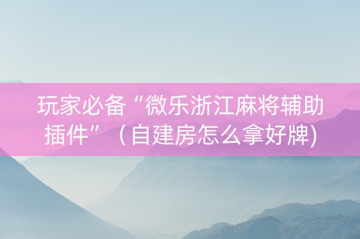 玩家必备“微乐浙江麻将辅助插件”（自建房怎么拿好牌)
