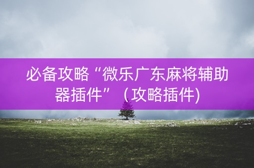 必备攻略“微乐广东麻将辅助器插件”（攻略插件)