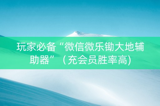 玩家必备“微信微乐锄大地辅助器”（充会员胜率高)