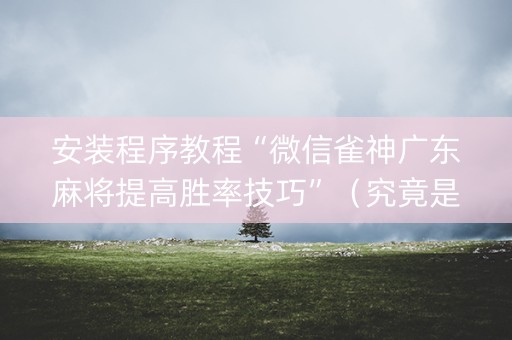 安装程序教程“微信雀神广东麻将提高胜率技巧”（究竟是不是有挂)