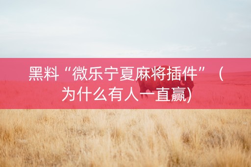 黑料“微乐宁夏麻将插件”（为什么有人一直赢)