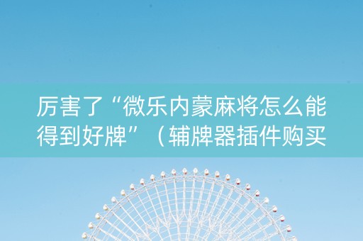 厉害了“微乐内蒙麻将怎么能得到好牌”（辅牌器插件购买)