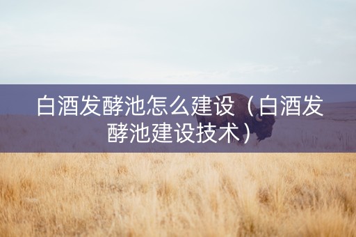 白酒发酵池怎么建设（白酒发酵池建设技术）