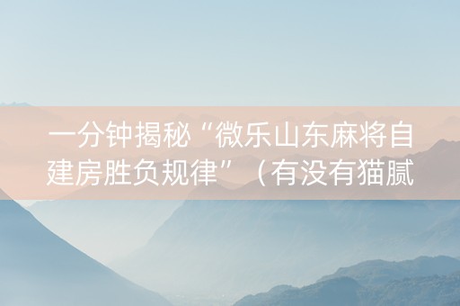 一分钟揭秘“微乐山东麻将自建房胜负规律”（有没有猫腻)