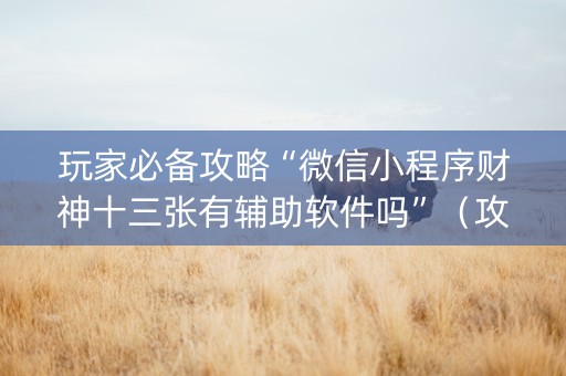 玩家必备攻略“微信小程序财神十三张有辅助软件吗”（攻略插件)
