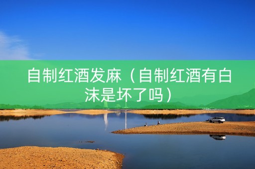 自制红酒发麻（自制红酒有白沫是坏了吗）
