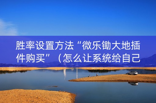 胜率设置方法“微乐锄大地插件购买”（怎么让系统给自己好牌)