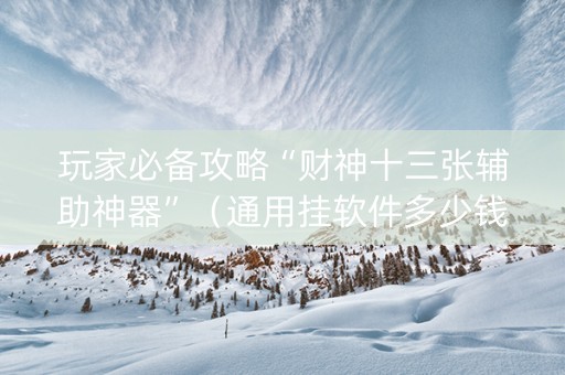 玩家必备攻略“财神十三张辅助神器”（通用挂软件多少钱)
