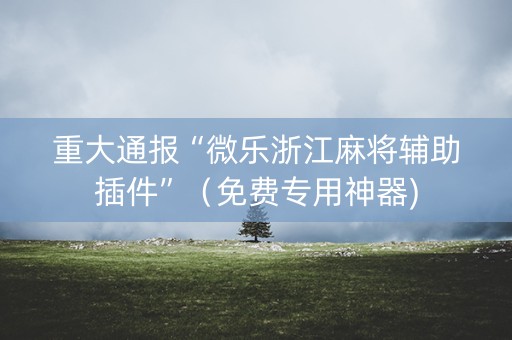 重大通报“微乐浙江麻将辅助插件”（免费专用神器)