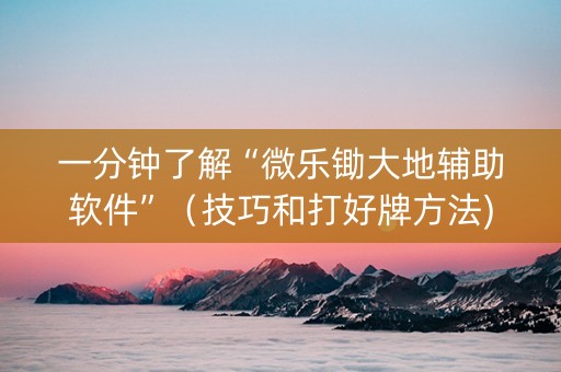 一分钟了解“微乐锄大地辅助软件”（技巧和打好牌方法)
