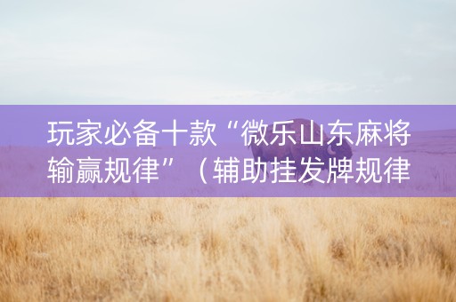 玩家必备十款“微乐山东麻将输赢规律”（辅助挂发牌规律)