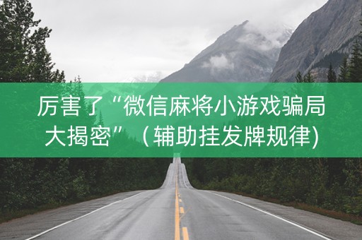 厉害了“微信麻将小游戏骗局大揭密”（辅助挂发牌规律)