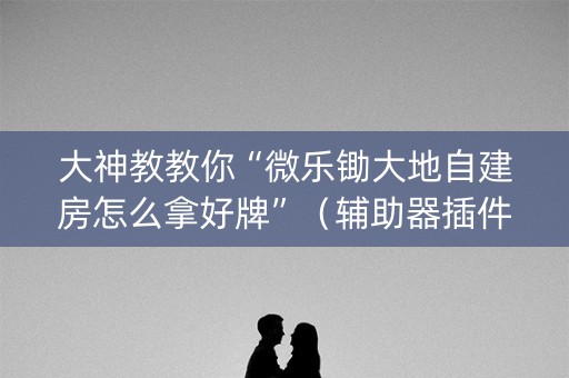 大神教教你“微乐锄大地自建房怎么拿好牌”（辅助器插件)