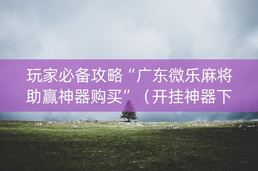 玩家必备攻略“广东微乐麻将助赢神器购买”（开挂神器下载)