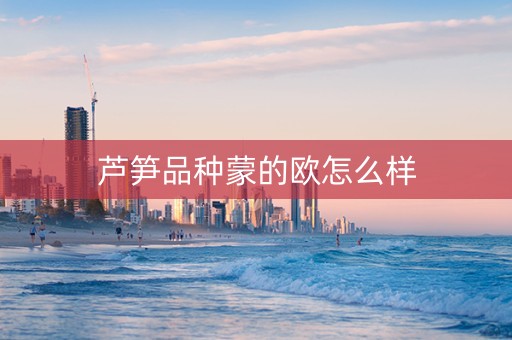 芦笋品种蒙的欧怎么样