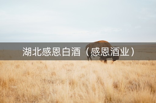 湖北感恩白酒（感恩酒业）