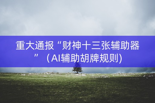 重大通报“财神十三张辅助器”（AI辅助胡牌规则)