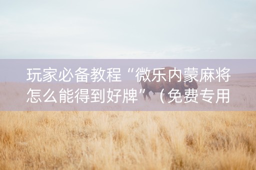 玩家必备教程“微乐内蒙麻将怎么能得到好牌”（免费专用神器)