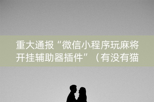 重大通报“微信小程序玩麻将开挂辅助器插件”（有没有猫腻)