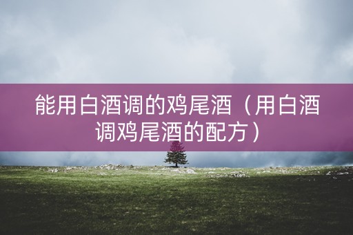 能用白酒调的鸡尾酒（用白酒调鸡尾酒的配方）