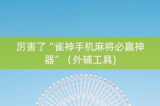 厉害了“雀神手机麻将必赢神器”（外辅工具)