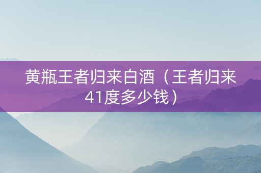 黄瓶王者归来白酒（王者归来41度多少钱）