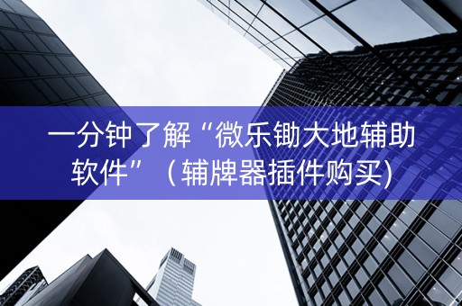 一分钟了解“微乐锄大地辅助软件”（辅牌器插件购买)