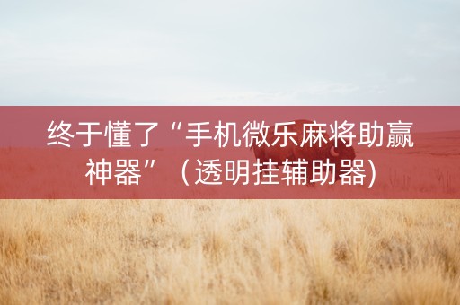 终于懂了“手机微乐麻将助赢神器”（透明挂辅助器)