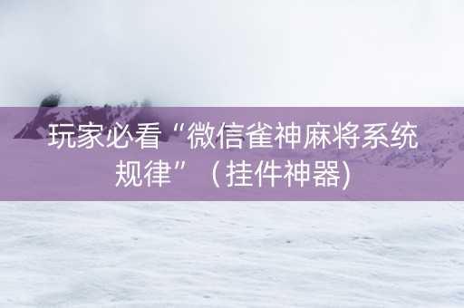 玩家必看“微信雀神麻将系统规律”（挂件神器)