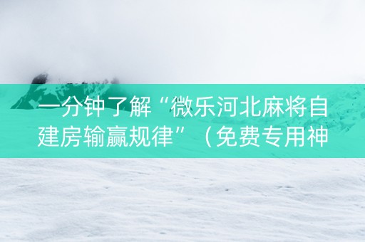 一分钟了解“微乐河北麻将自建房输赢规律”（免费专用神器)
