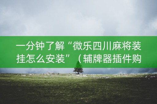 一分钟了解“微乐四川麻将装挂怎么安装”（辅牌器插件购买)
