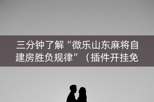 三分钟了解“微乐山东麻将自建房胜负规律”（插件开挂免费AI)