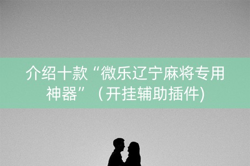 介绍十款“微乐辽宁麻将专用神器”（开挂辅助插件)