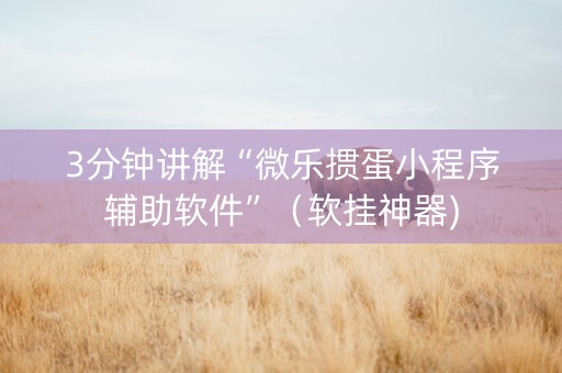 3分钟讲解“微乐掼蛋小程序辅助软件”（软挂神器)