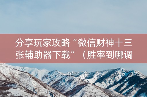 分享玩家攻略“微信财神十三张辅助器下载”（胜率到哪调)